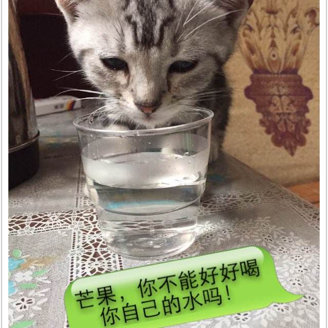 古列尔莫马尔可尼网络大学留信网认证办理